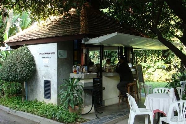 Love at First Bite — photo 1